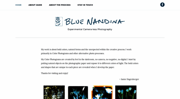 bluenandina.com