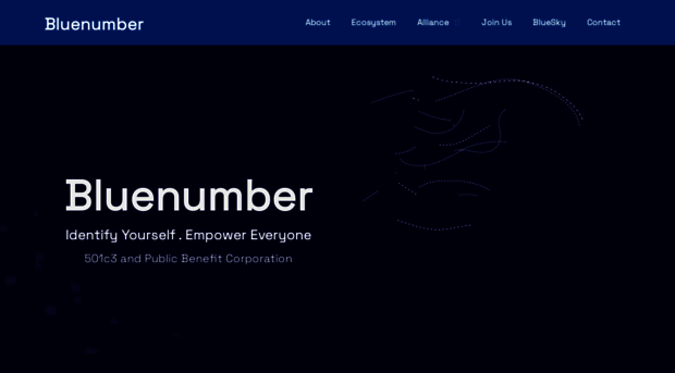 bluenumber.com