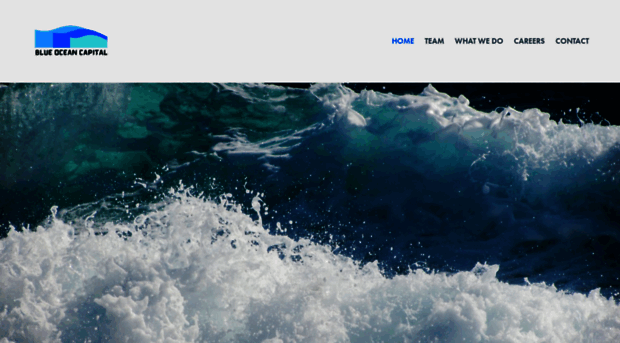 blueoceancapital.com