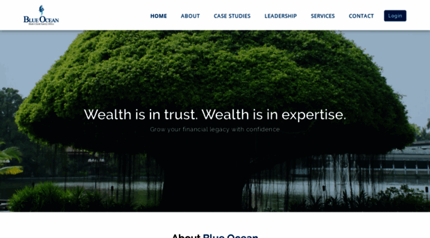 blueoceanfamilyoffice.com