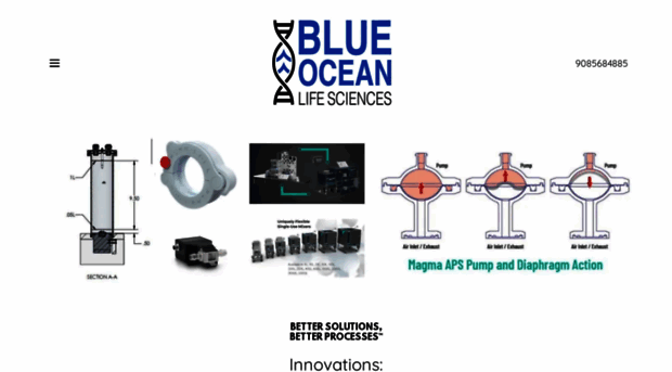 blueoceanlifesciences.com