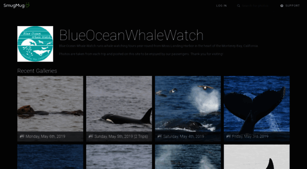 blueoceanwhalewatch.smugmug.com