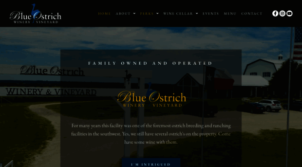 blueostrich.net