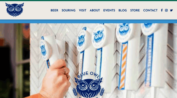 blueowlbrewing.com