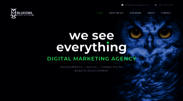 blueowldigital.com