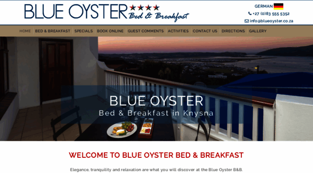 blueoyster.co.za