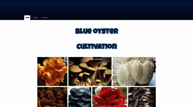 blueoystercultivation.com