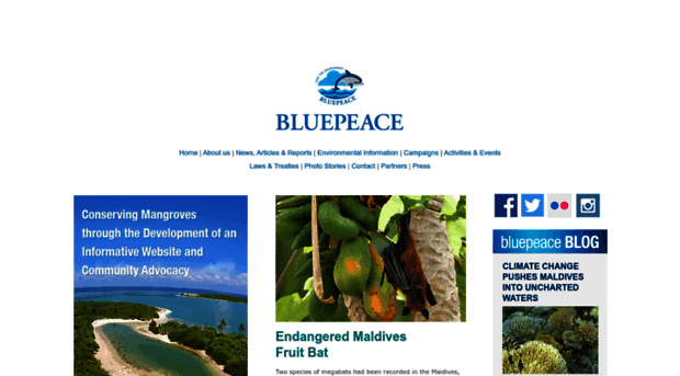 bluepeacemaldives.org