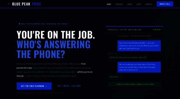 bluepeakpros.com