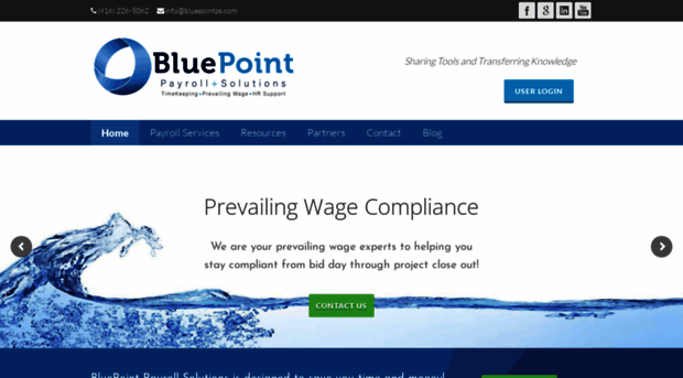 bluepointps.com