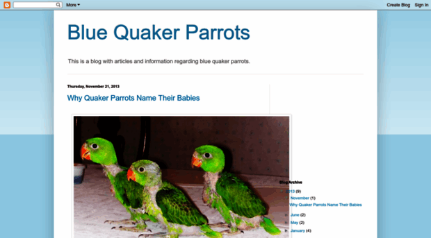 bluequakerparrots.blogspot.com