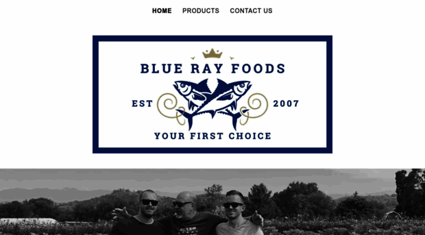 bluerayfoods.com