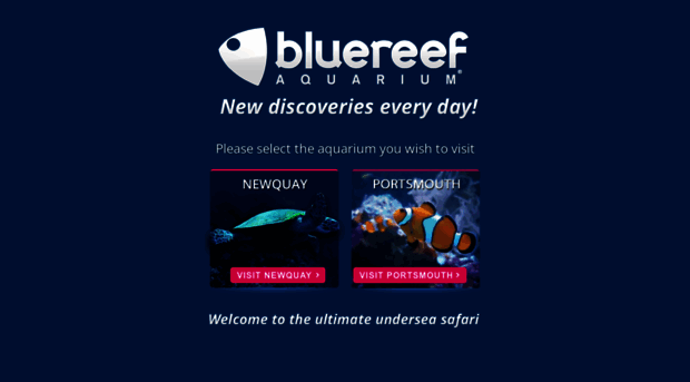 bluereefaquarium.com