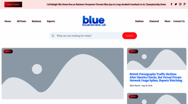 bluereview.uk