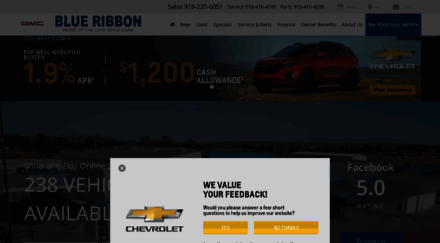 blueribbonautogroup.com