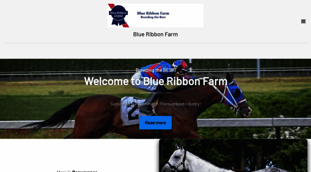 blueribbonfarm.com