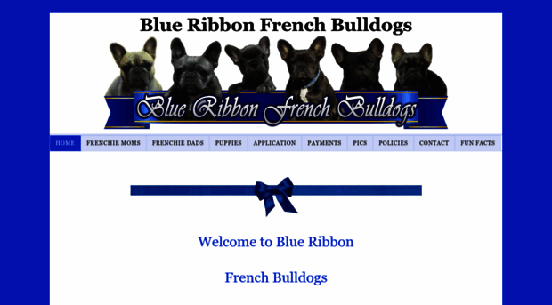 blueribbonfrenchbulldogs.com