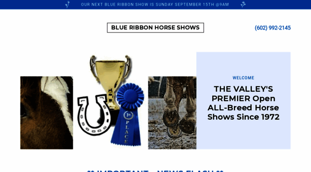 blueribbonhorseshows.com