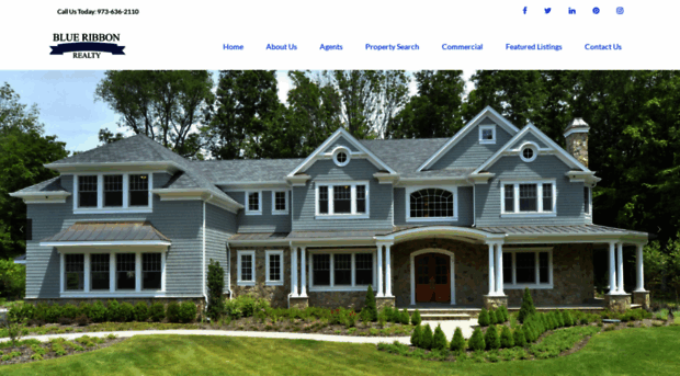 blueribbonrealtynj.com