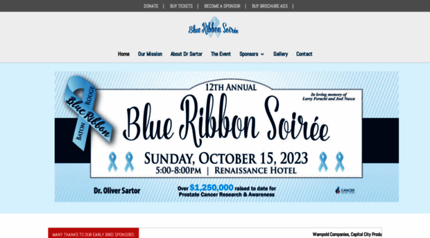 blueribbonsoiree.org