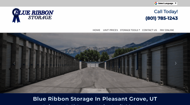 blueribbonstorage.com