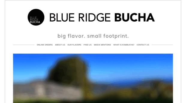 blueridgebucha.com