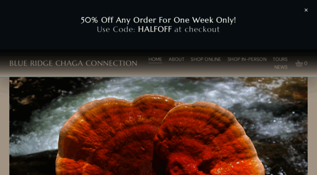 blueridgechagaconnection.com