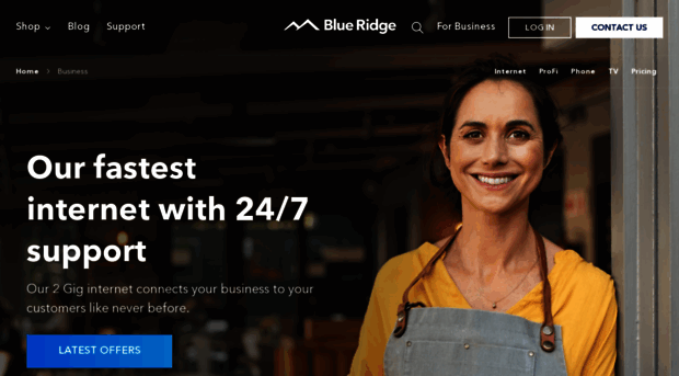 blueridgeforbusiness.com