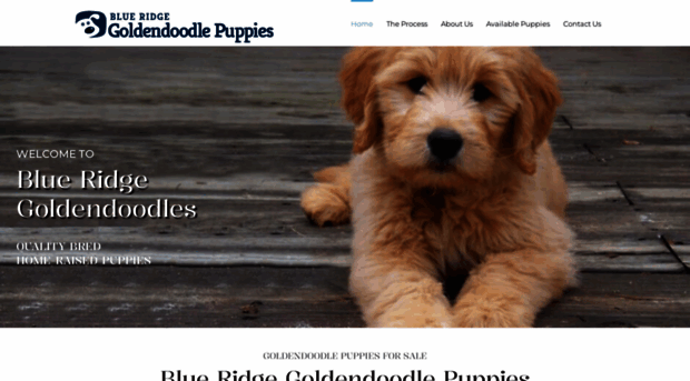 blueridgegoldendoodlepuppies.com