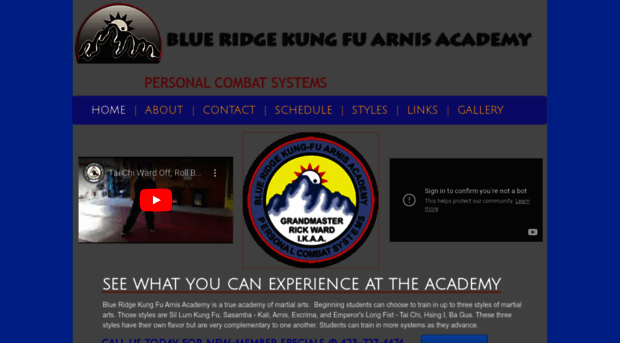 blueridgemartialartsacademy.com