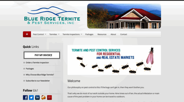 blueridgetermite.com