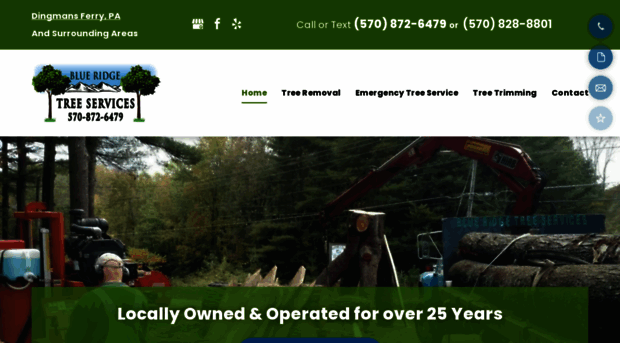 blueridgetreeservices.com