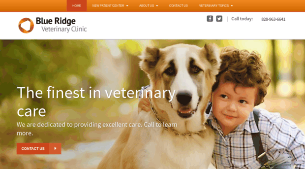 blueridgevetclinic.com