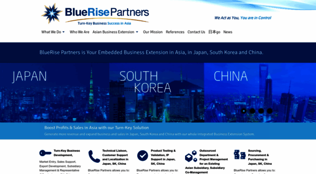 bluerisepartners.com