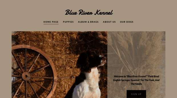 bluerivergundogs.com