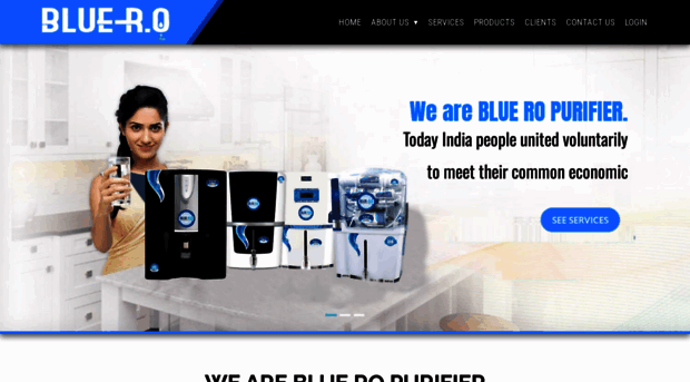 blueroindia.in