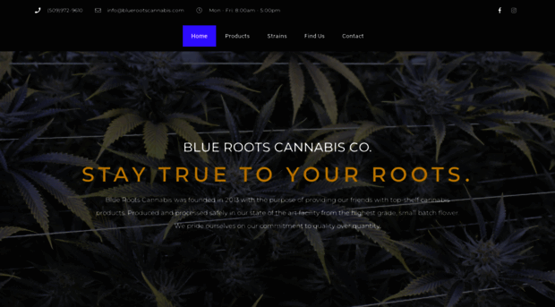 bluerootscannabis.com