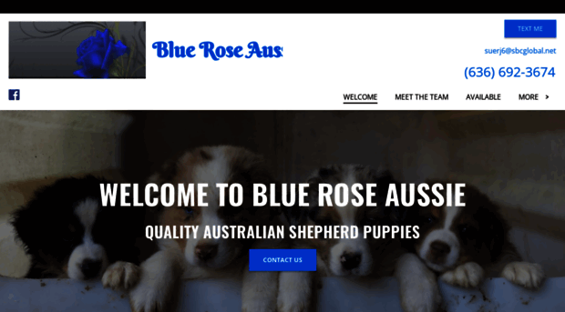 blueroseaussie.com