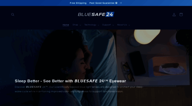 bluesafe24.com