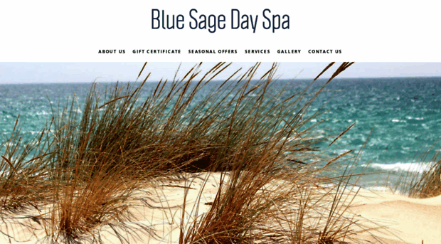 bluesagedayspa.com