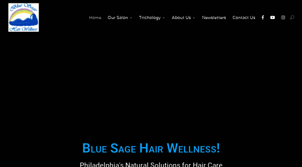 bluesagehairwellness.com