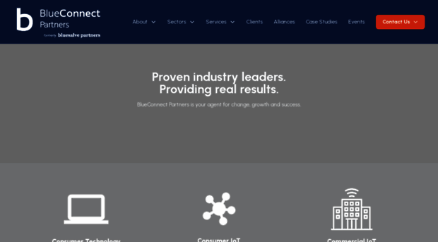 bluesalve.com