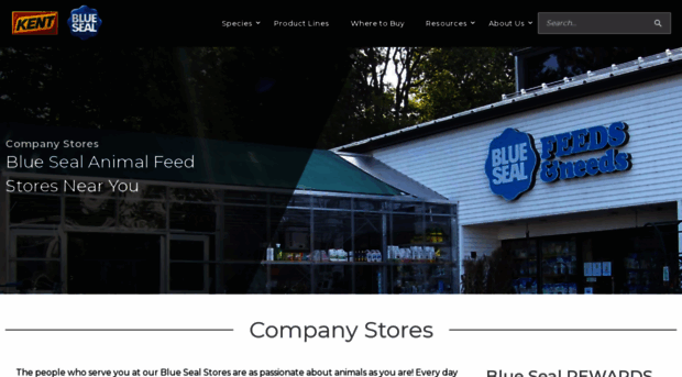 bluesealstores.com