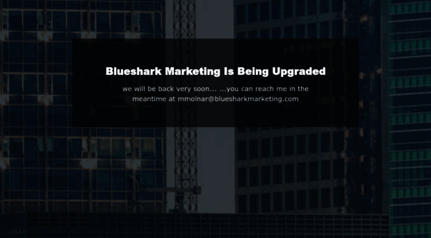 bluesharkmarketing.com