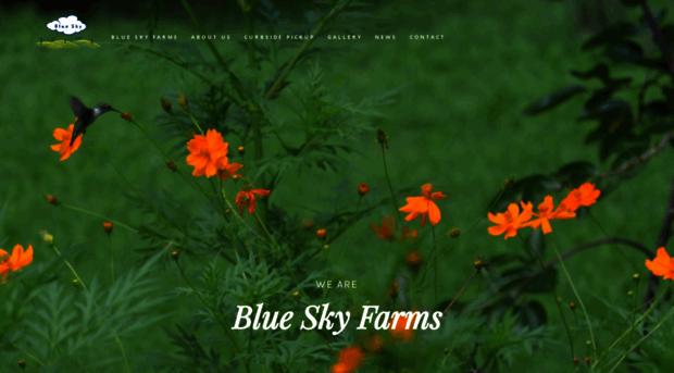 blueskyfarmsnc.com