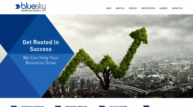 blueskyhealthcaresolutions.com
