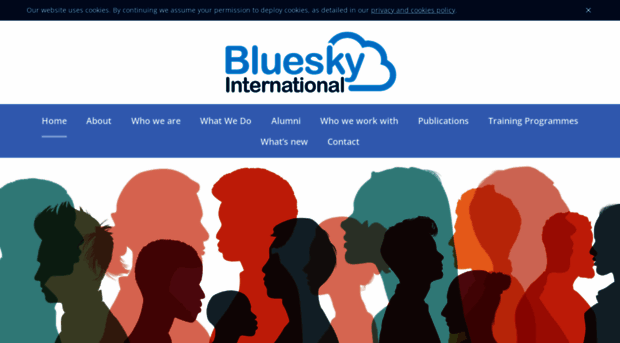 blueskyinternational.com