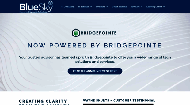 blueskyitpartners.com