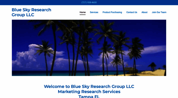 blueskyresearchgroup.com