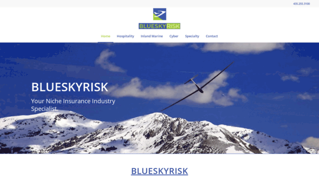 blueskyrisk.com